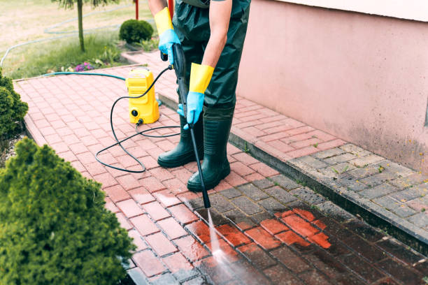 Best Driveway Pressure Washing  in Gulf Shores, AL